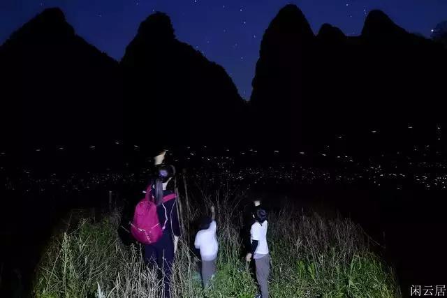 商鞅变法究竟带给百姓什么危害让商鞅五马分尸也不过分？游戏画面